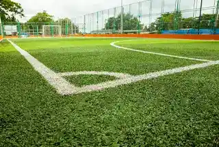 Sports Turf